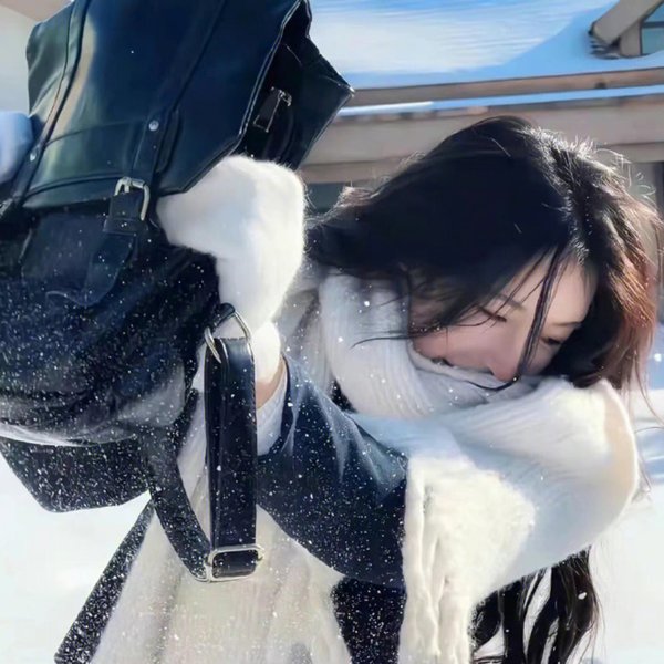 荒野迷案第二季